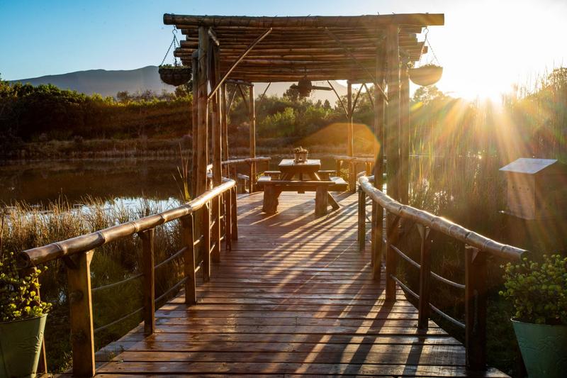 5 Bedroom Property for Sale in The Crags Western Cape